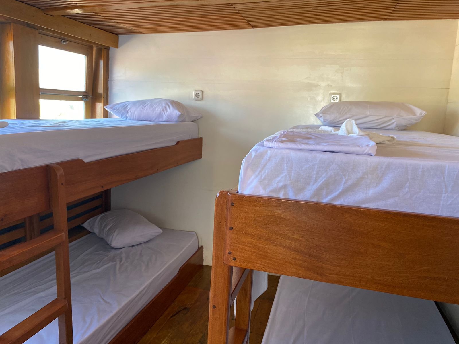 Reguler Cabin 2
