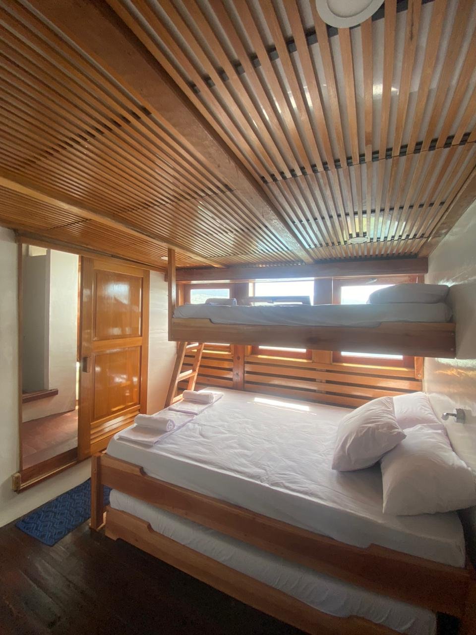 Reguler Cabin 1