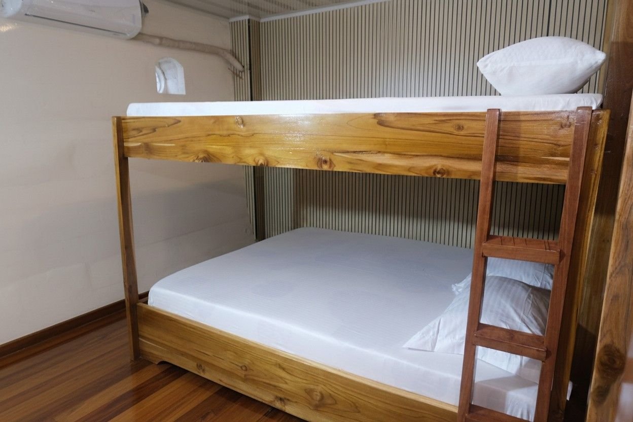 Dolphin Room 1