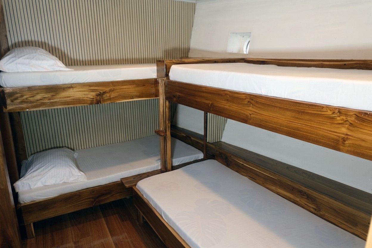 Dolphin Room 2