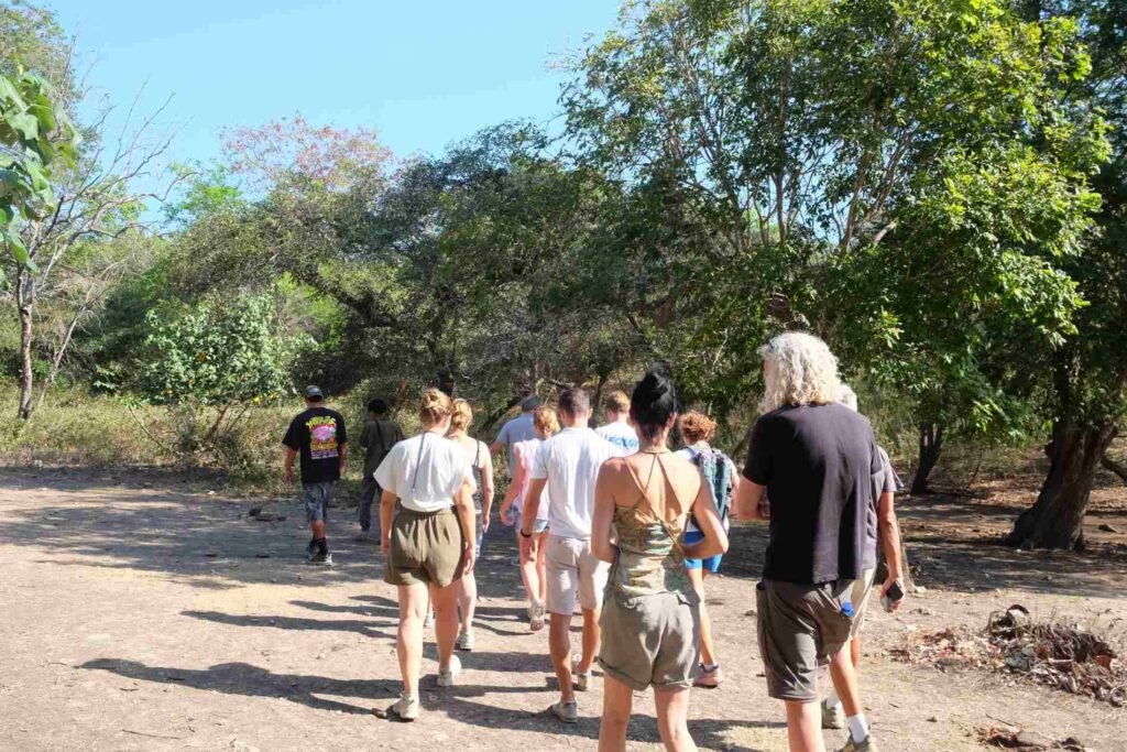 trekking